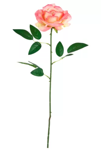 Élethű szálas nyílott rózsa 60cm - rózsaszín-krém