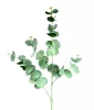 Élethű eukaliptusz ág zöld 85cm