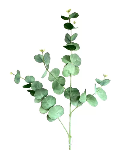 Élethű eukaliptusz ág zöld 85cm