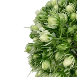 Élethű selyem díszítő csokor 30cm ivory