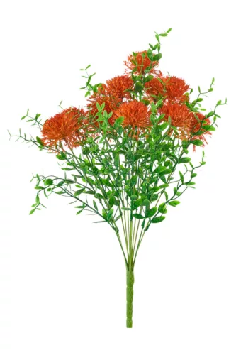 Élethű allium bokor 50cm - narancs