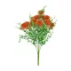 Élethű allium bokor 50cm - narancs
