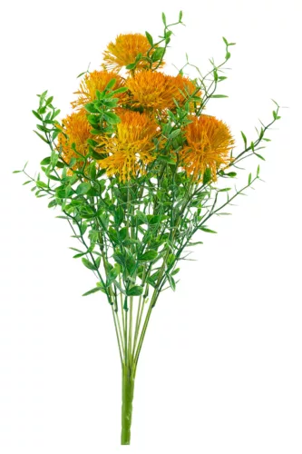 Élethű allium bokor 50cm - sárga
