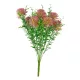 Élethű allium bokor 50cm - mályva
