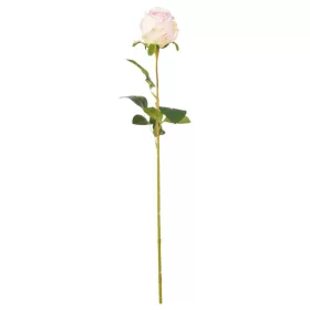Élethű szálas rózsa  60 cm - halvány rózsaszín
