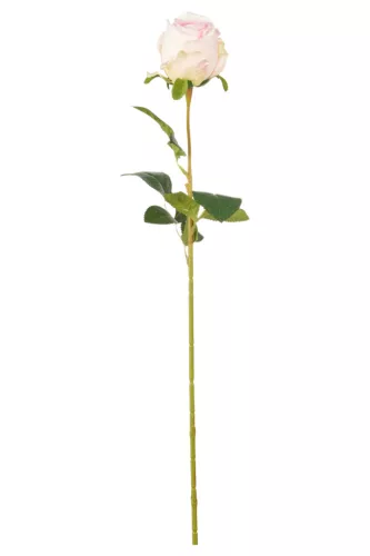 Élethű szálas rózsa  60 cm - halvány rózsaszín