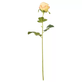Élethű szálas rózsa  60 cm - barackos
