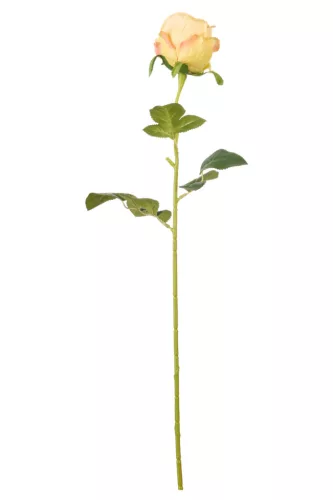 Élethű szálas rózsa  60 cm - barackos