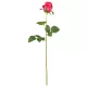 Élethű szálas rózsa  60 cm - erős pink