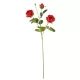 Élethű 3 ágú és virágos szálas rózsa - piros