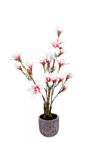 Kaspós Magnólia fehér-pink 78 cm