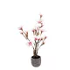 Kaspós Magnólia fehér-pink 78 cm