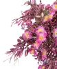 Élethű csokros tamariska fuchsia 30cm