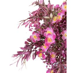 Élethű csokros tamariska fuchsia 30cm