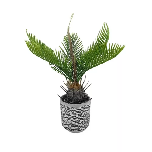 Műnövény Cycas kaspóban 27cm