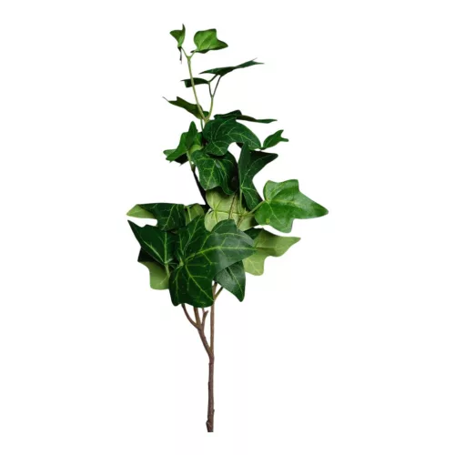 Selyem szálas  borostyán 11 leveles 70cm