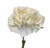 Élethű selyem szálas szegfű 52cm, krém