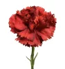 Élethű selyem szálas szegfű 52cm, piros