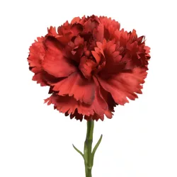 Élethű selyem szálas szegfű 52cm, piros