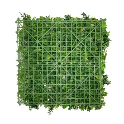 Növényfal / páfrány - eukaliptusz 50x50cm