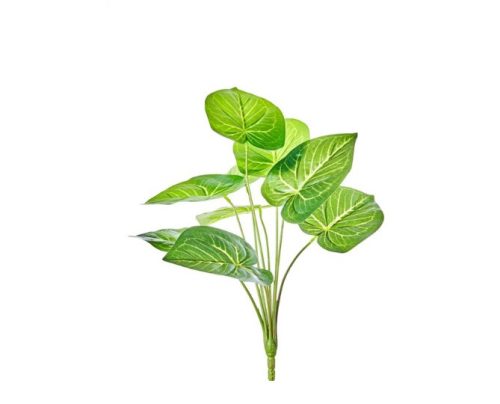 Élethű műnövény Caladium, 50 cm magas