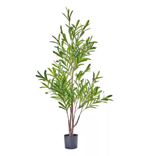 Cserepes oliva fa 120cm - dekorációnak