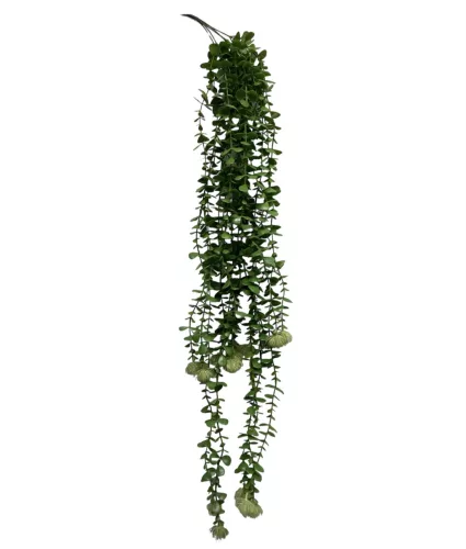 Élethű csüngős Eukaliptusz 105cm, zöld