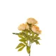 Élethű peonia csokor 50cm - sárgás