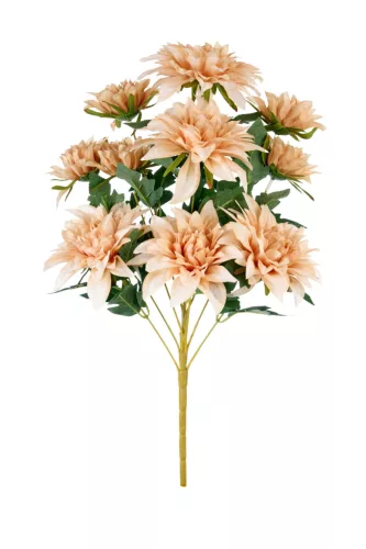 Élethű dús dália csokor  50 cm - krémes barack