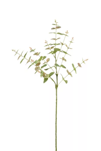 Élethű szálas eucaliptus zöldes barnás 83cm