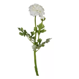 Selyem szálas boglárka 2 fejjel 67cm krém