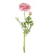 Selyem szálas boglárka 2 fejjel 67cm pink