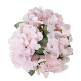 Hortenzia 20 cm pink