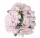 Hortenzia 20 cm pink