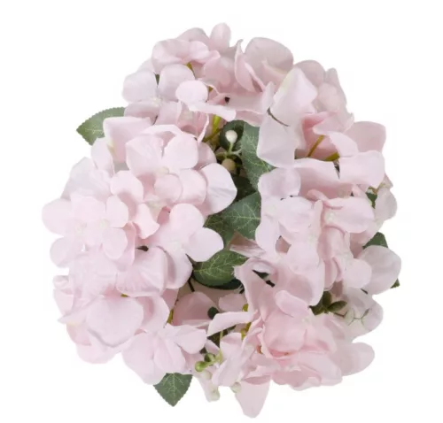 Hortenzia 20 cm pink
