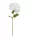 Hortenzia cserje 95cm fehér