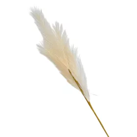 4 ágú pampafű ág, 58cm magas - Ekrü