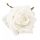 Bársony rózsafej fehér 8cm