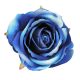Bársony rózsafej kék 8cm db