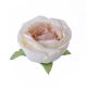 Angol rózsa selyemvirág fej 5,5cm - barnás fehér