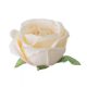 Angol rózsa selyemvirág fej 5,5cm - krém