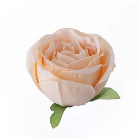 Angol rózsa selyemvirág fej 5,5cm - világos pezsgő
