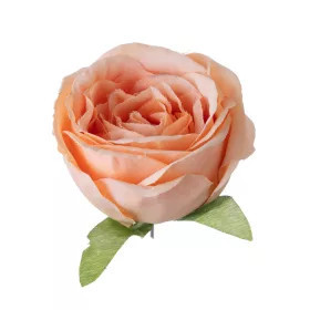 Angol rózsa selyemvirág fej 5,5cm - sötét pezsgő