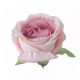 Angol rózsa selyemvirág fej 5,5cm - rózsaszín