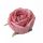 Angol rózsa selyemvirág fej 5,5cm - sötét rózsaszín