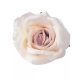 Selyemvirág rózsa fej ekrü 10cm