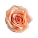 Selyemvirág rózsa fej pasztell narancssárga 10cm