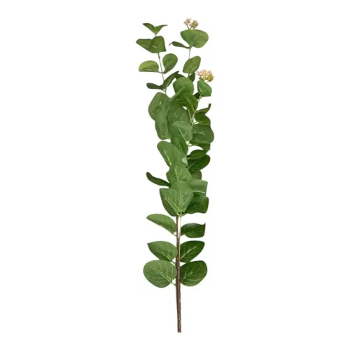 Szálas eukaliptus sötét zöld 85cm