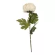Selyem szálas krizantém krém 70cm