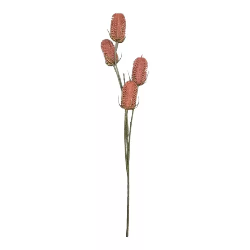 Szálas buzogány korall szín 34cm